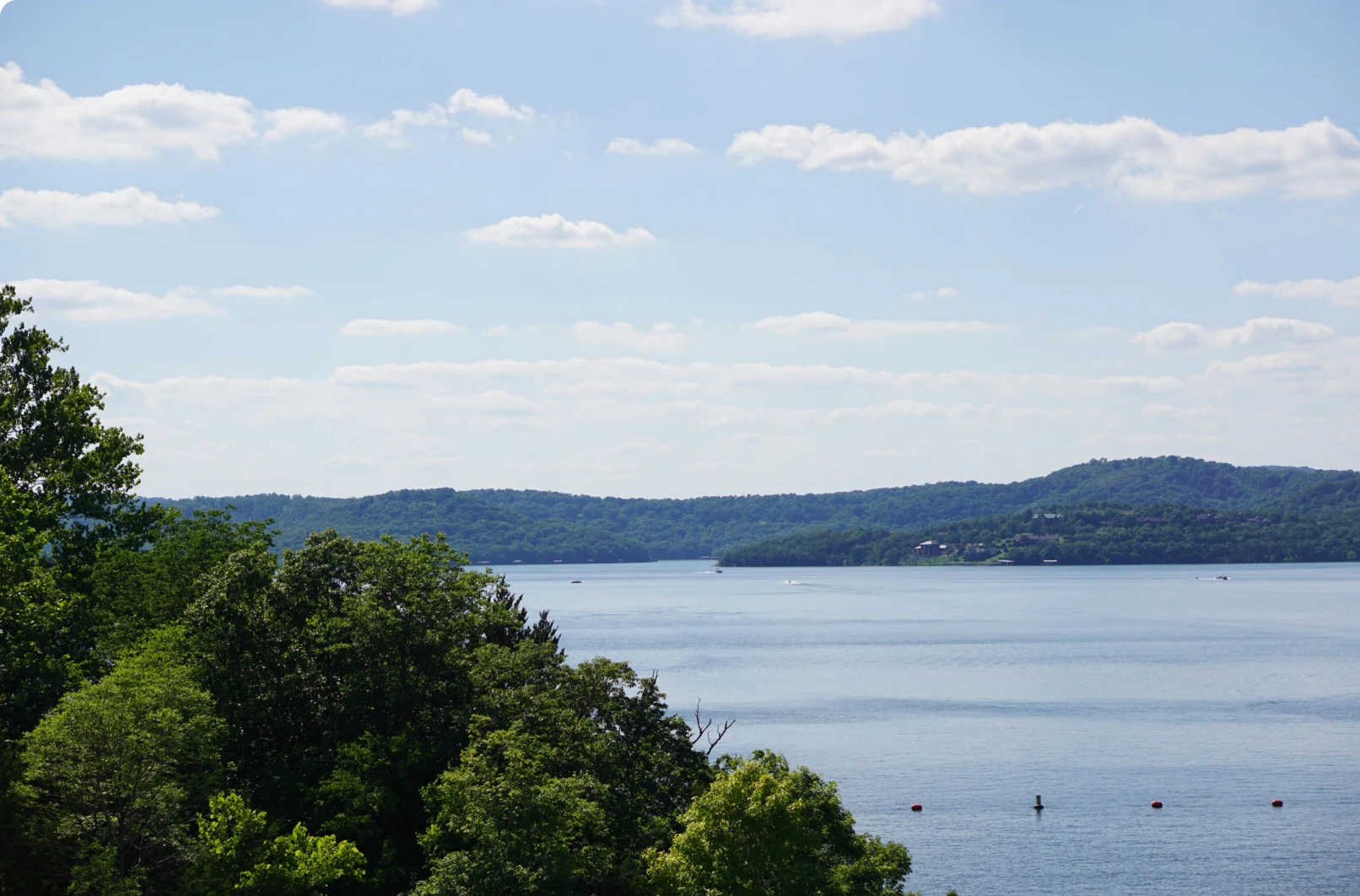 Lake view with lush green trees